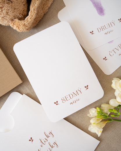 Měsíční kartičky na otisky miminka